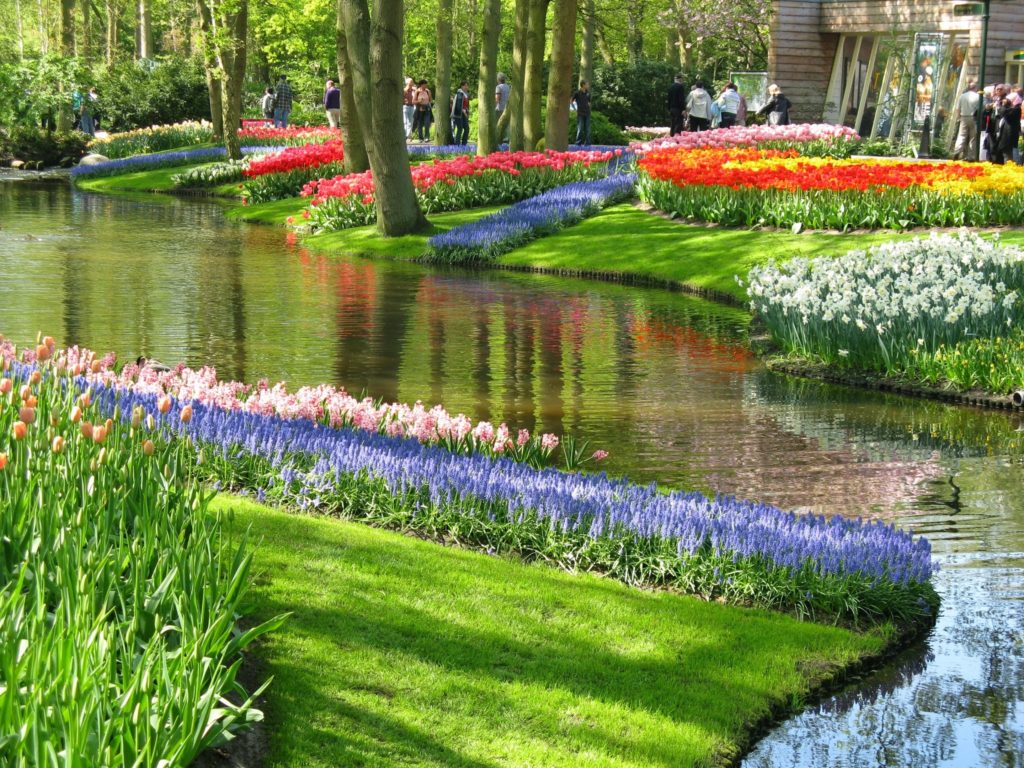 тур в кекенхоф, туры в кекенхоф из минска, автобусный тур из минска, туры в кекенхоф из минска на автобусе, автобусные туры в кекенхоф из минска, посмотреть кекенхоф, кекенхоф экскурсия,  тур из минска, тур в кекенхоф цена, тур в европу из минска, автобусный тур европа, автобусный тур минск, автобусный тур в голландию, автобусный тур в нидерланды, тур в нидерланды, тур в голландию