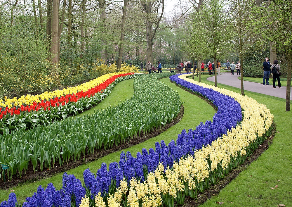 тур в кекенхоф, туры в кекенхоф из минска, автобусный тур из минска, туры в кекенхоф из минска на автобусе, автобусные туры в кекенхоф из минска, посмотреть кекенхоф, кекенхоф экскурсия,  тур из минска, тур в кекенхоф цена, тур в европу из минска, автобусный тур европа, автобусный тур минск, автобусный тур в голландию, автобусный тур в нидерланды, тур в нидерланды, тур в голландию