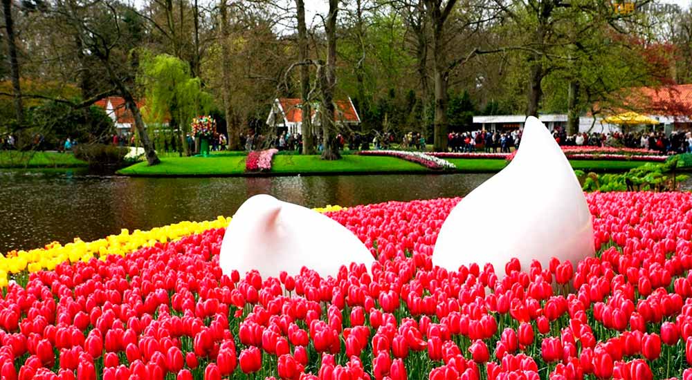 тур в кекенхоф, туры в кекенхоф из минска, автобусный тур из минска, туры в кекенхоф из минска на автобусе, автобусные туры в кекенхоф из минска, посмотреть кекенхоф, кекенхоф экскурсия,  тур из минска, тур в кекенхоф цена, тур в европу из минска, автобусный тур европа, автобусный тур минск, автобусный тур в голландию, автобусный тур в нидерланды, тур в нидерланды, тур в голландию